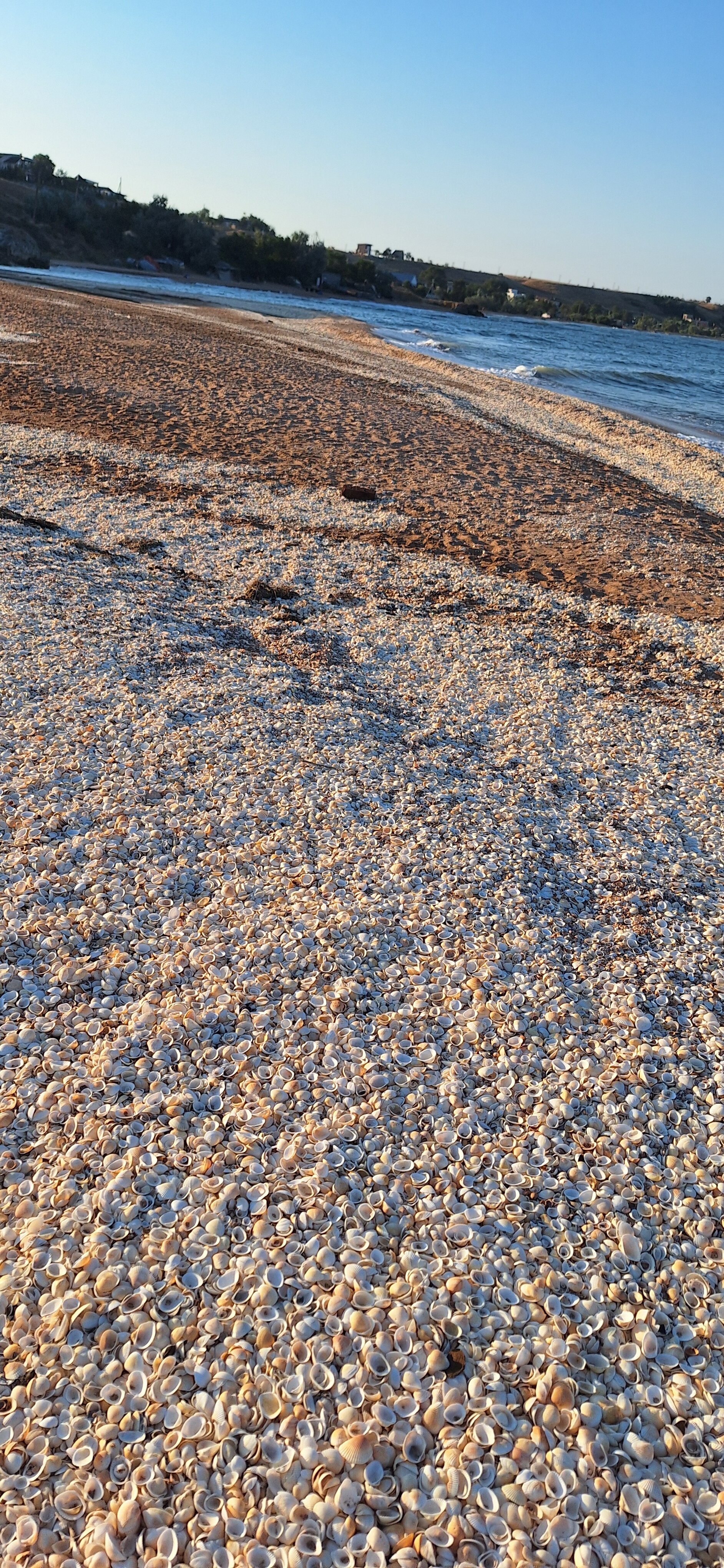 Фото ИТ-Парк