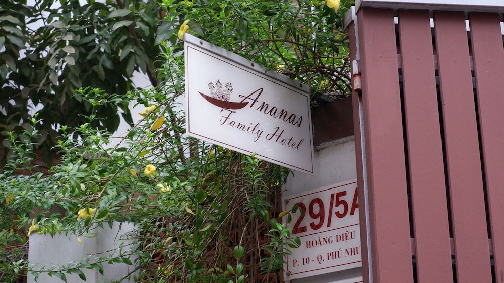 Фото Ananas Family Hotel