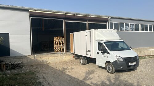 Жалаңаш әйелдер бейнелерінің галереясы