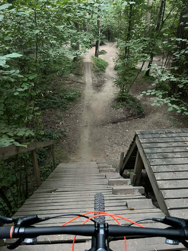 Porno katta kokrak flto