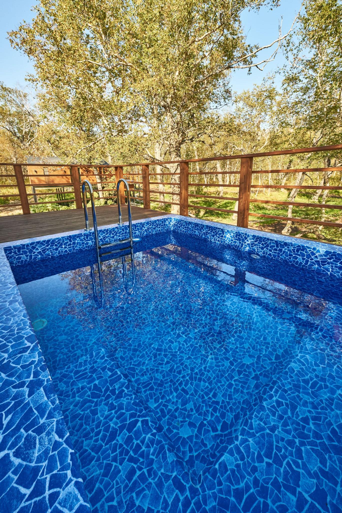 Фото Камчатка Форест Лодж