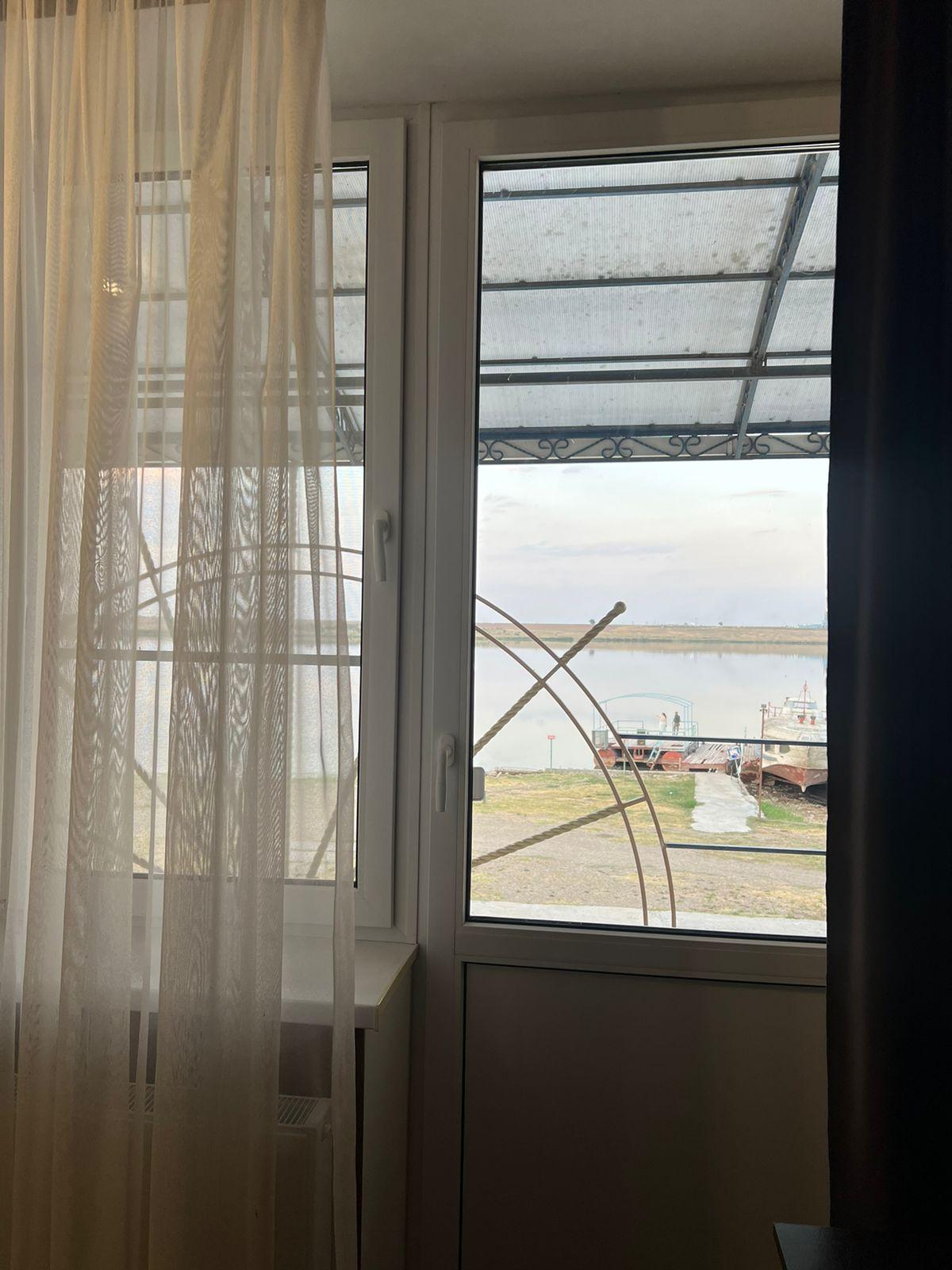 Фото Дельфин