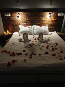 Гостиница Тундра