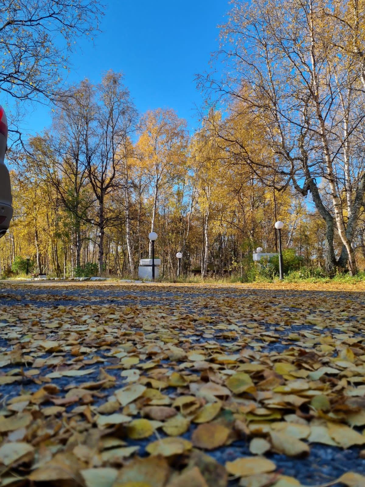 Фото Лапландия