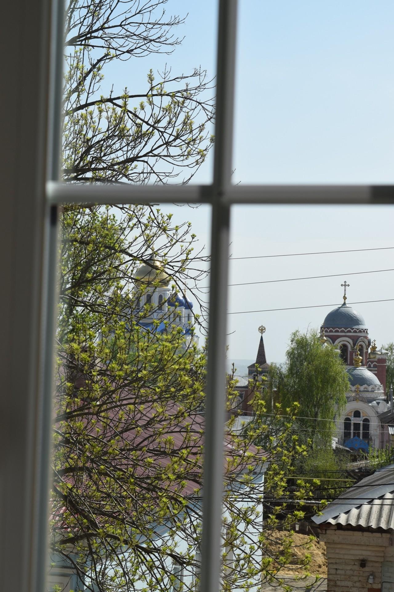 Фото Снегири