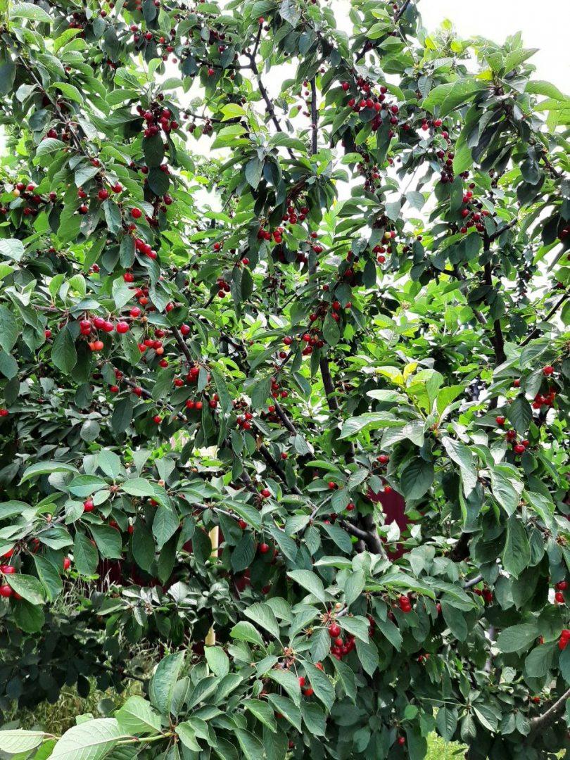 Фото Гостевой дом на Победы 7