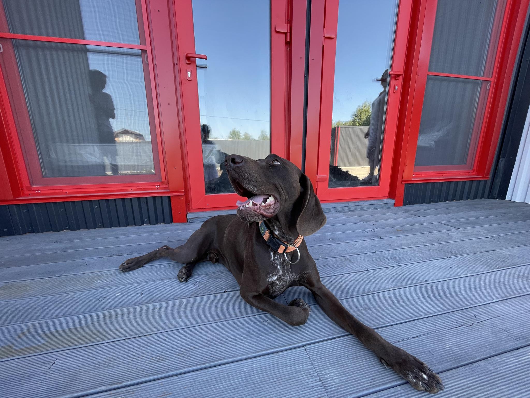 Фото ЛяКатю