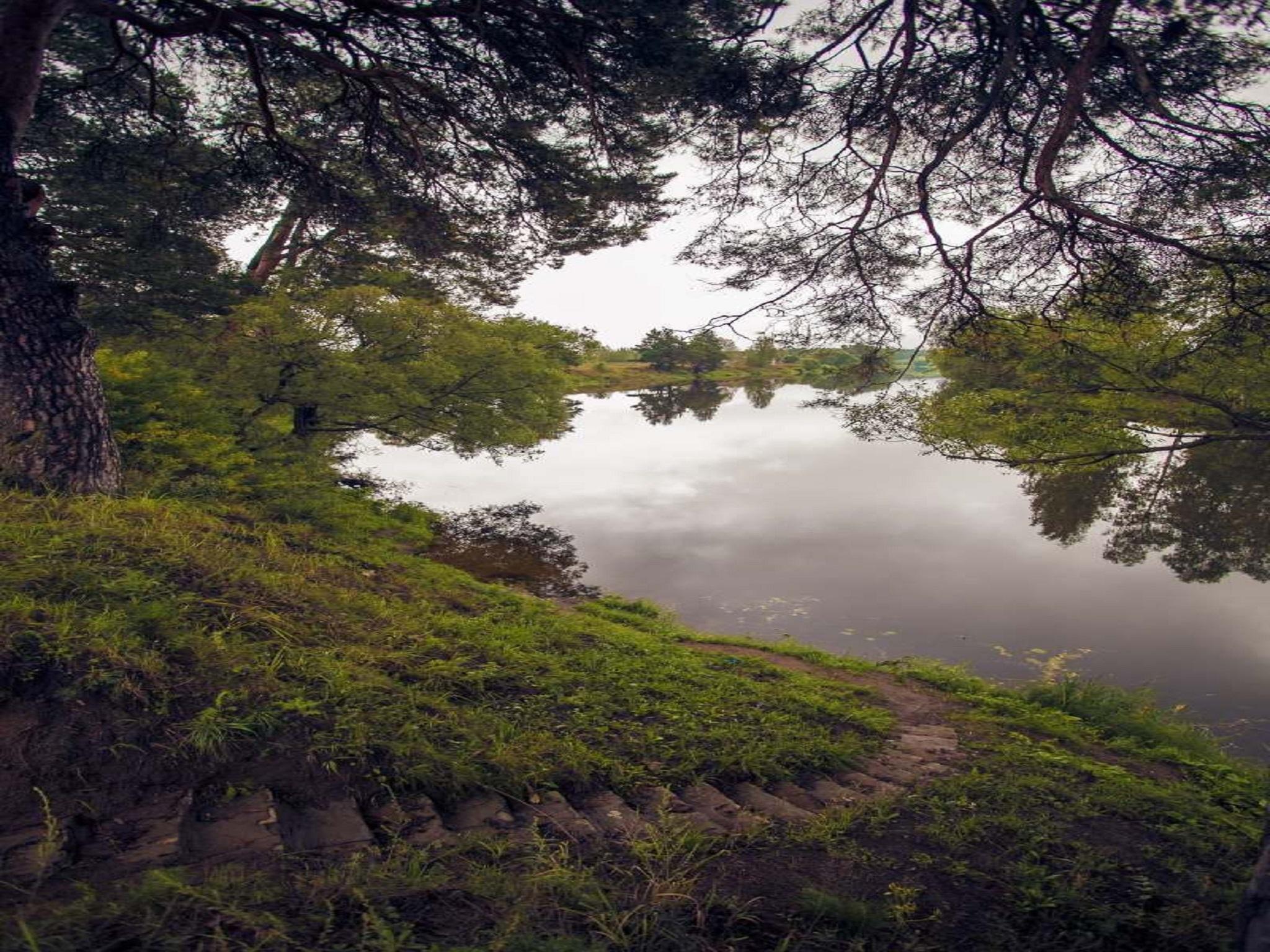 Фото Фроотель