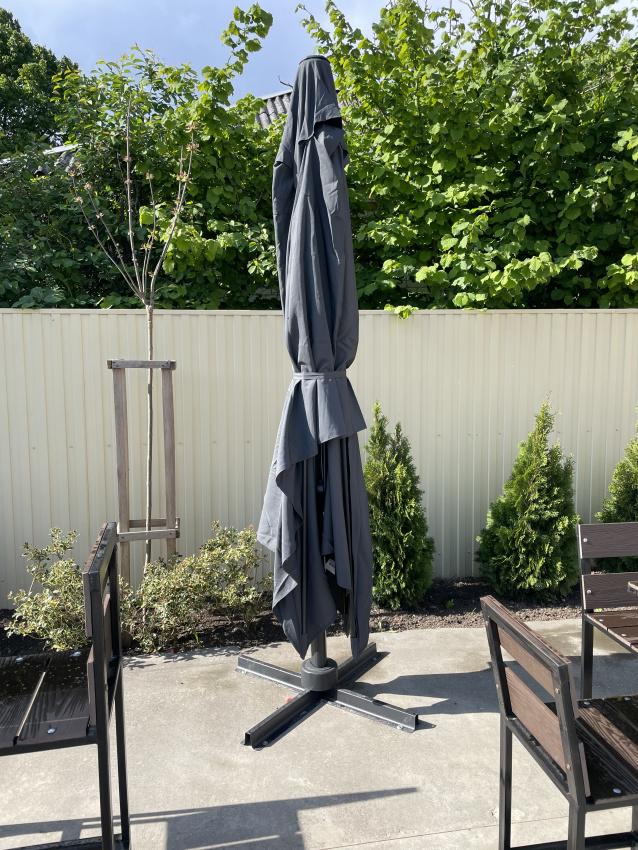 Фото Гульден