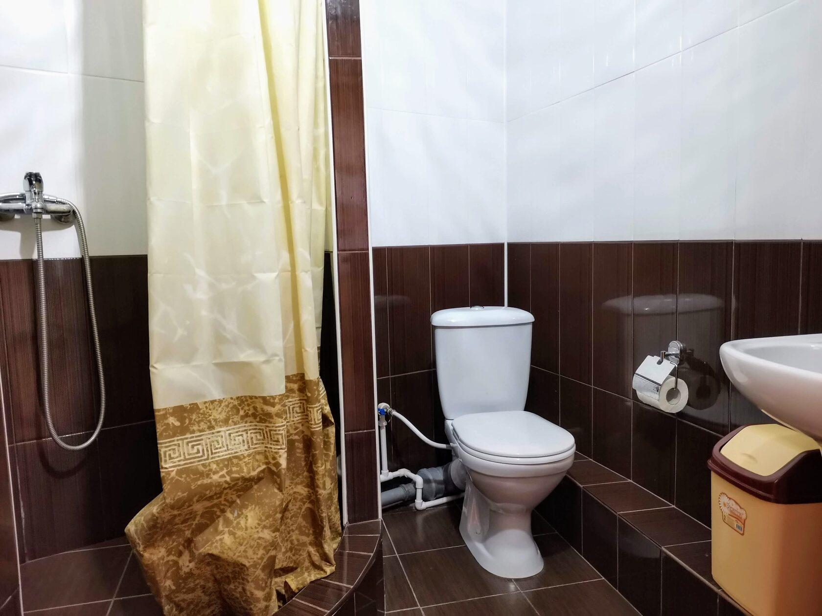 Фото Ракушка