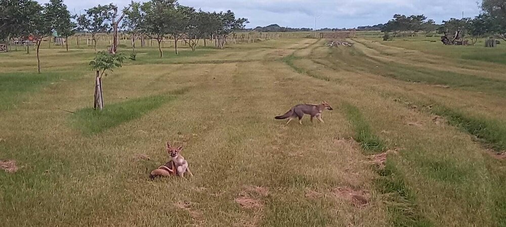 Фото Wild Wetlands Lodge