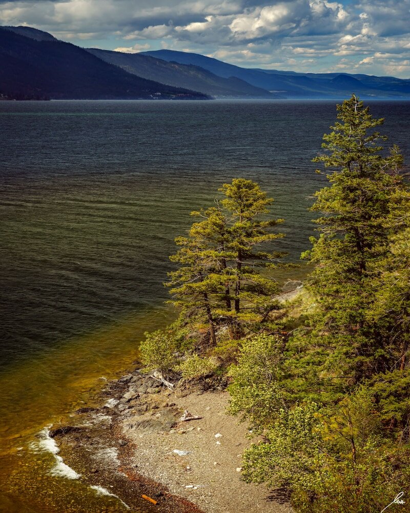 Фото Château Okanagan