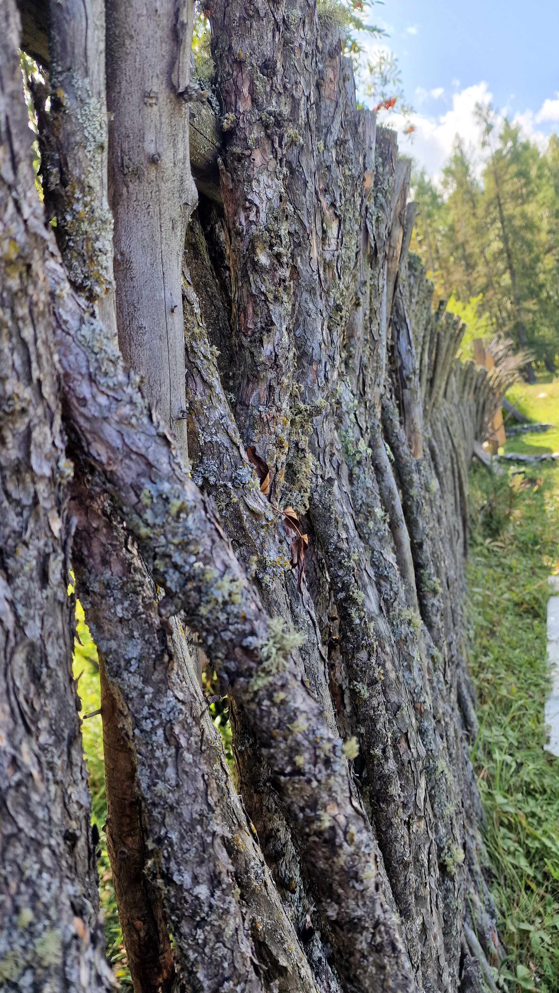 Фото Синегорье