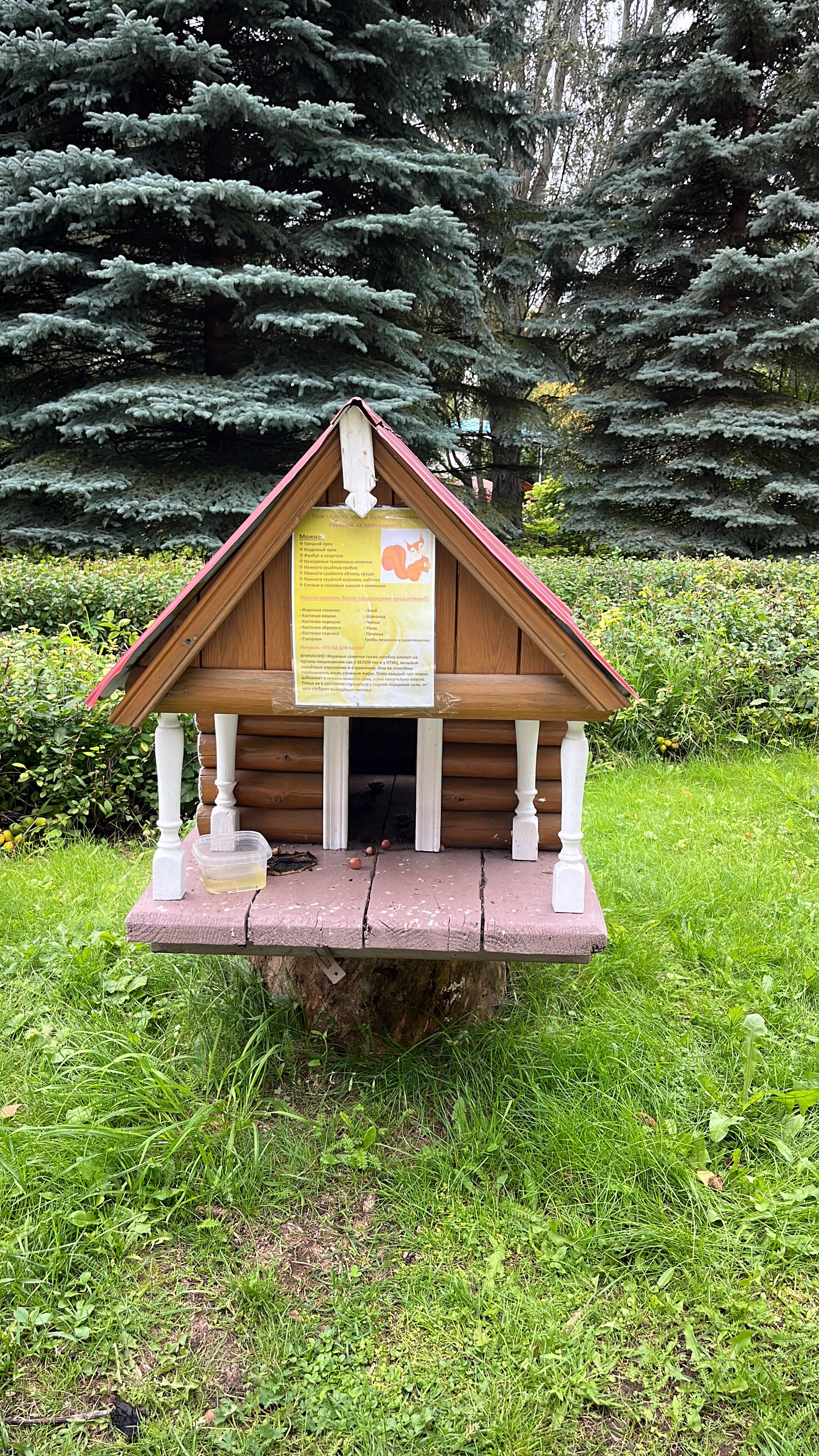 Фото Металлург