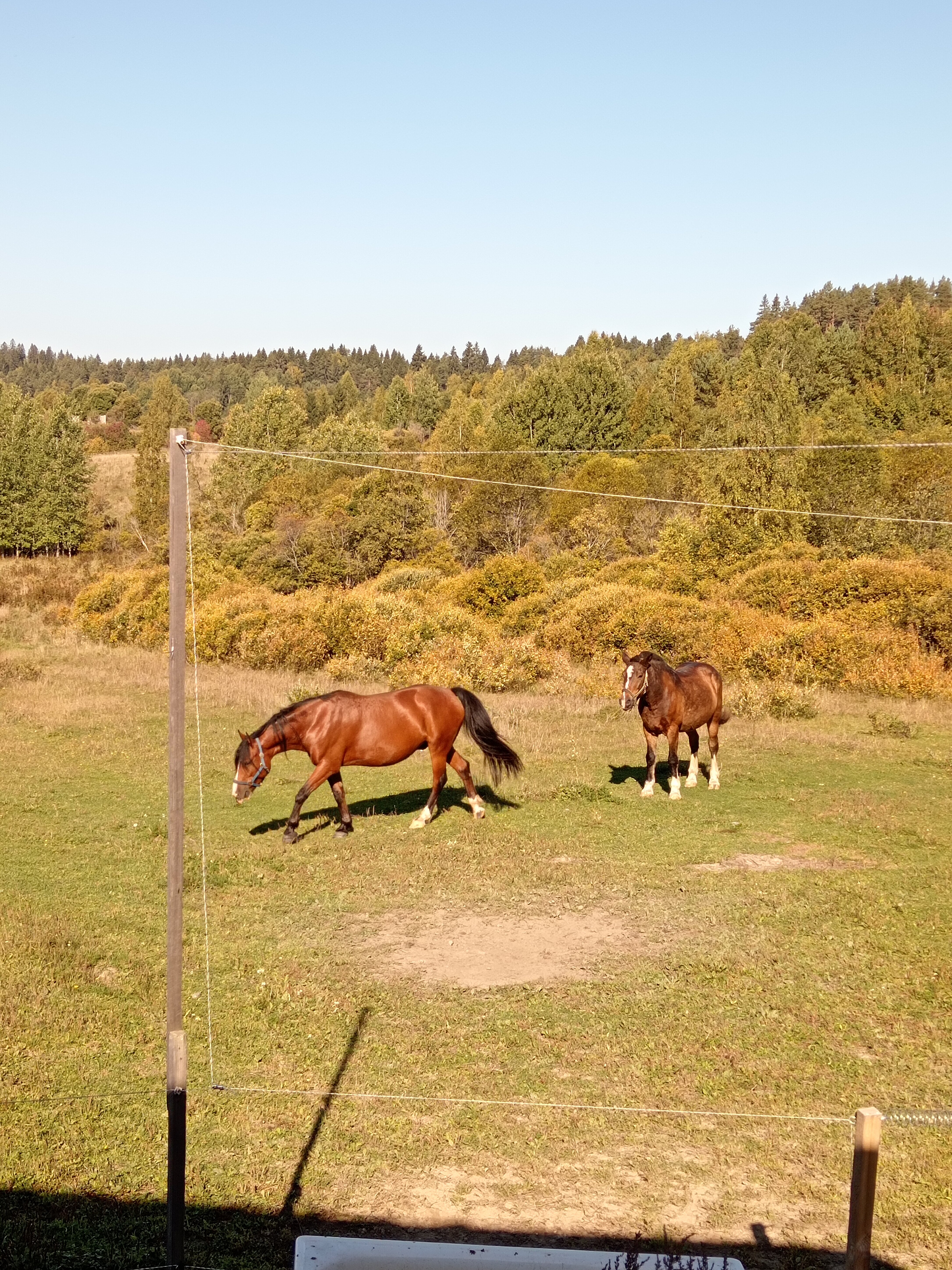 Фото Конюшенный двор