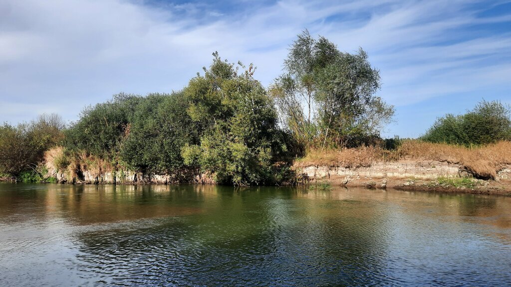 Beach Власова будка, Bryansk Oblast, photo