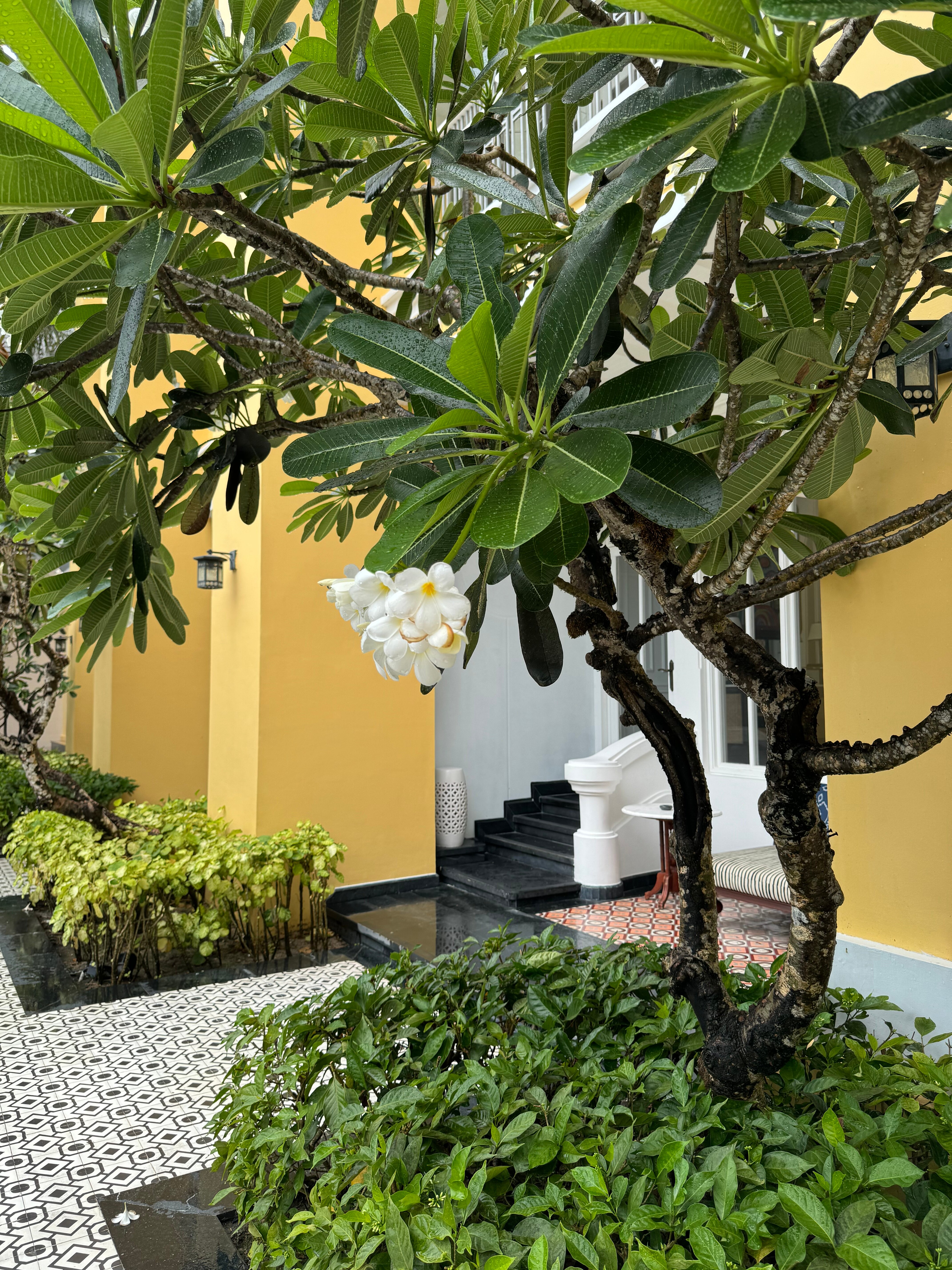 Фото Jw Marriott Phu Quoc Emerald Bay Resort & SPA