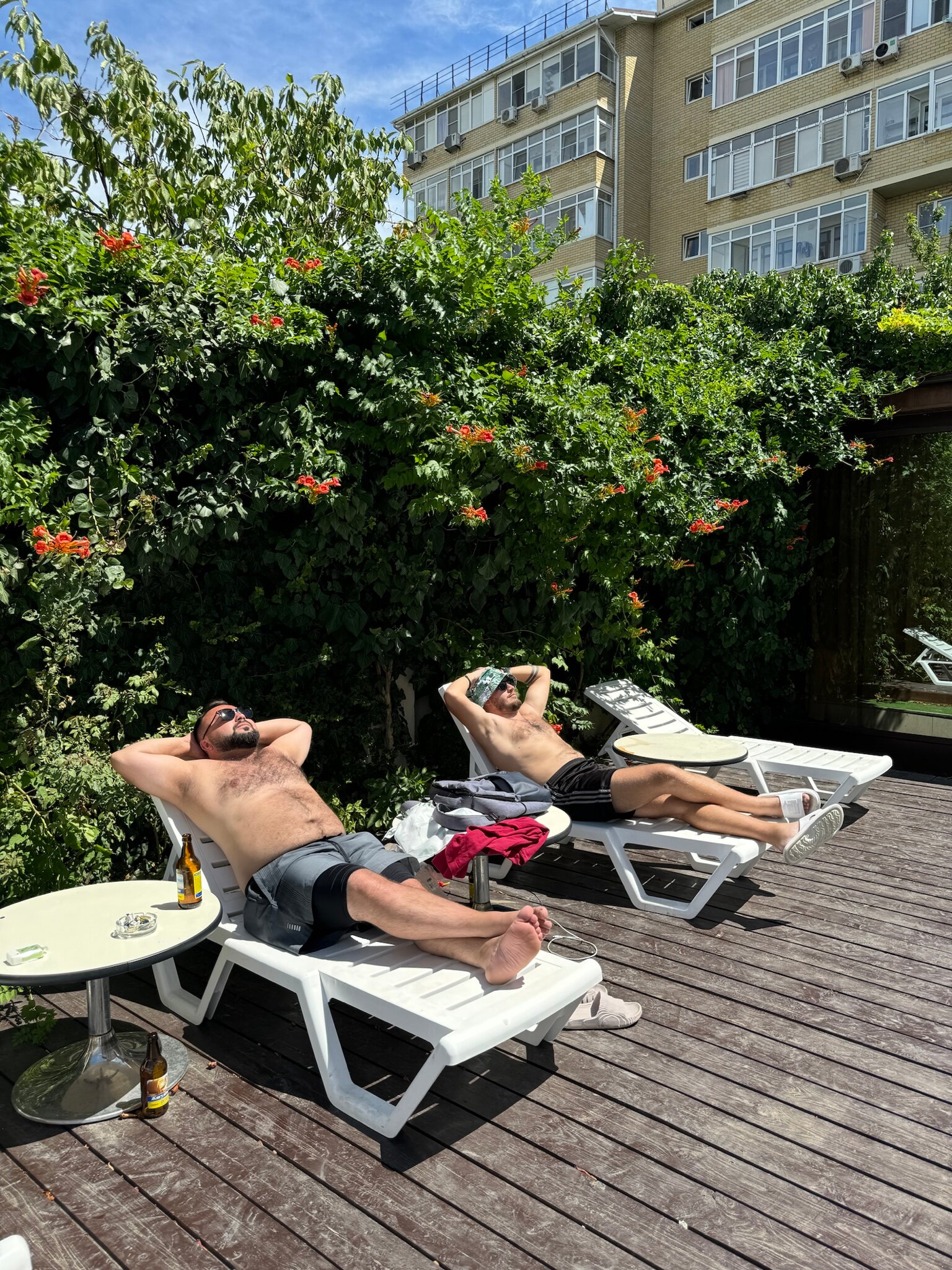 Фото Монарх