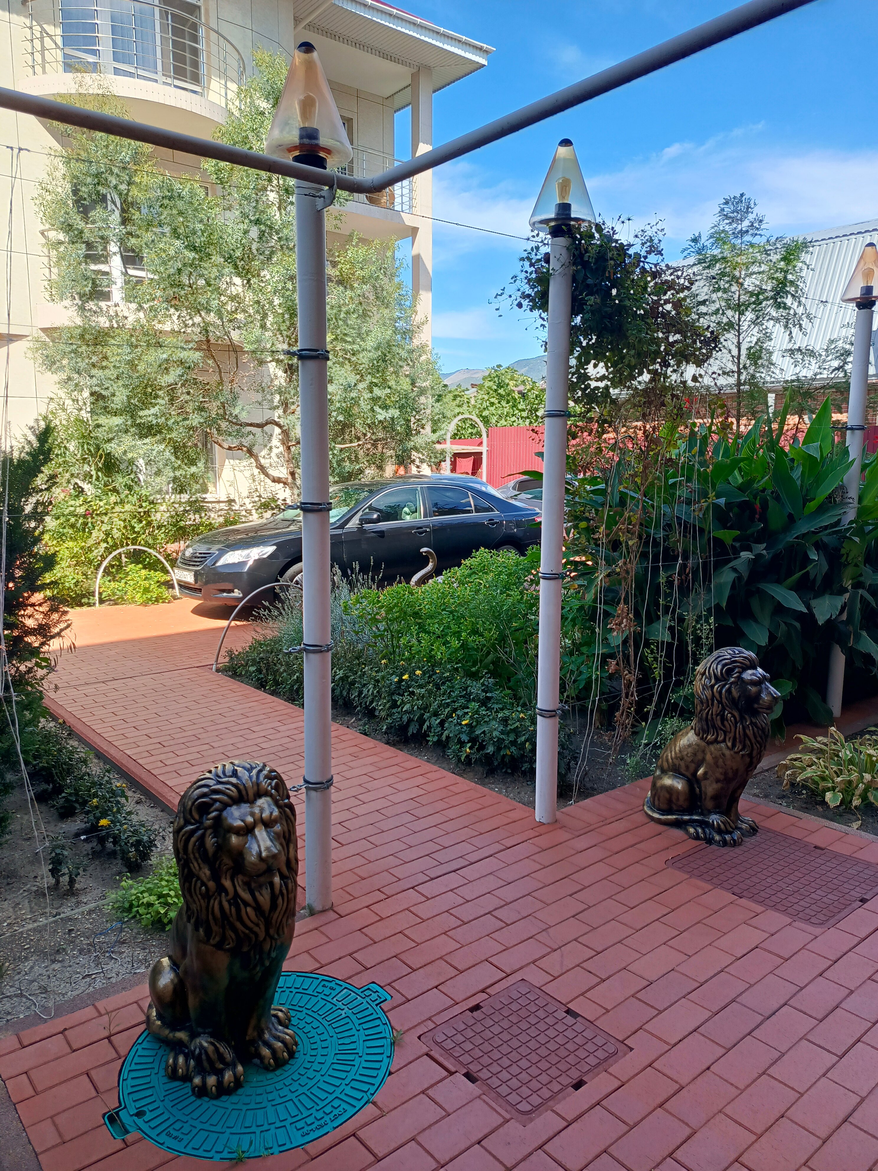 Фото Отдых у Александра