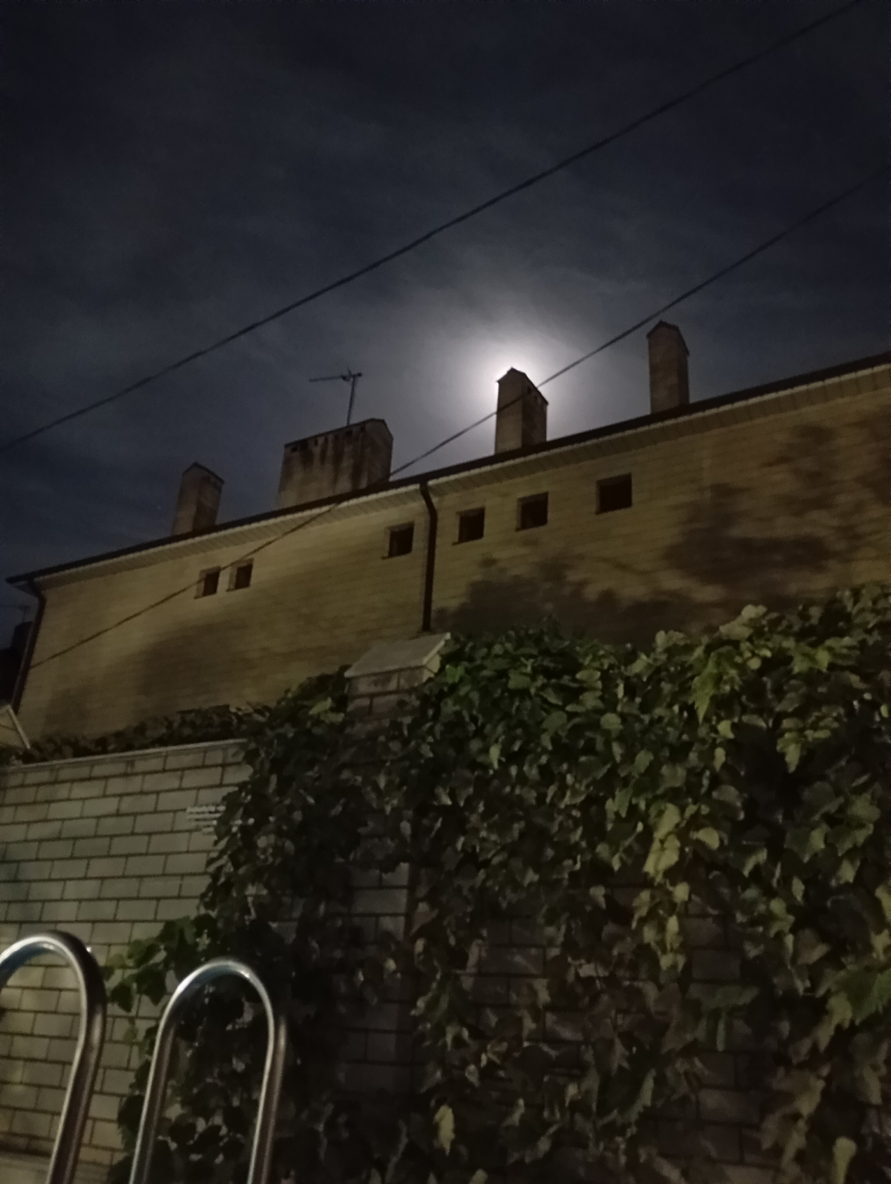 Фото Белый фрегат