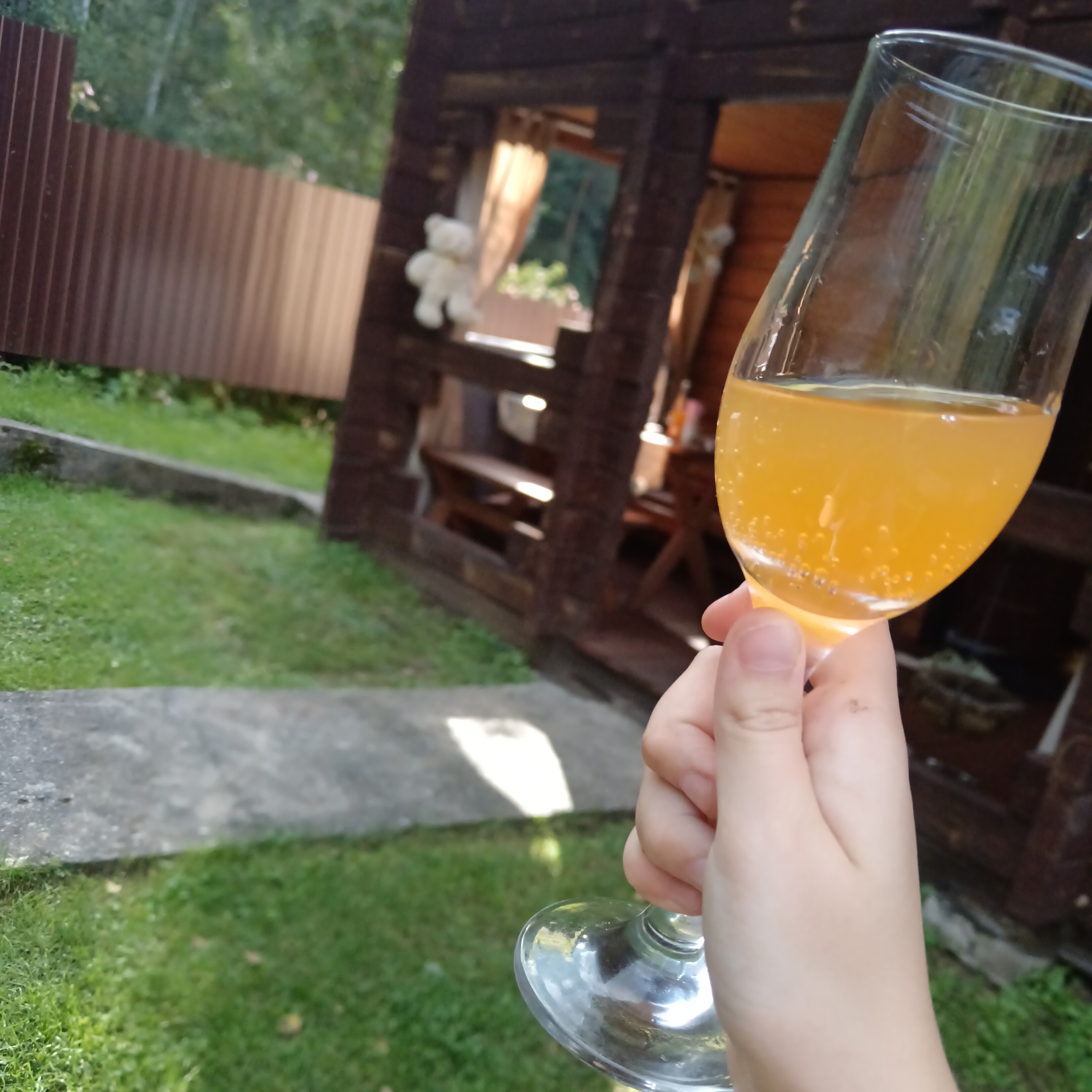 Фото Усадьба Шоколад