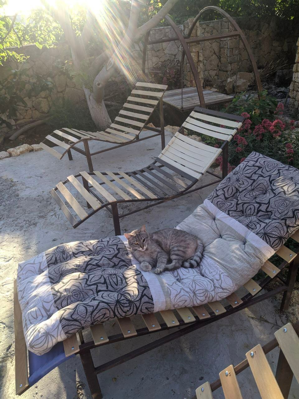 Фото Сияние