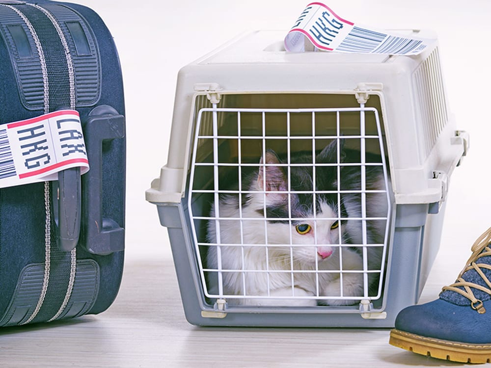 Фото Ms Aparthotel