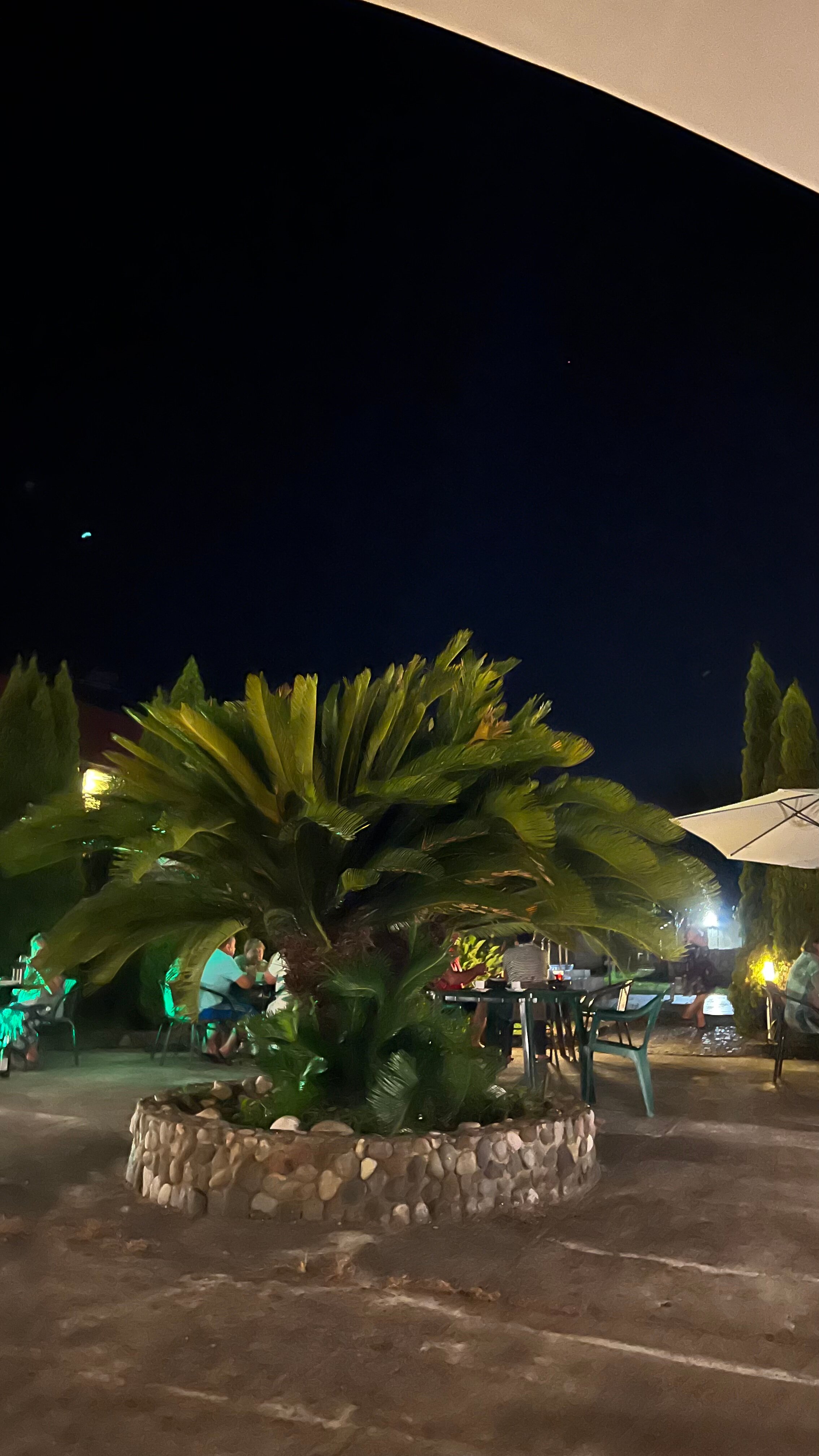 Фото Абхазский дворик