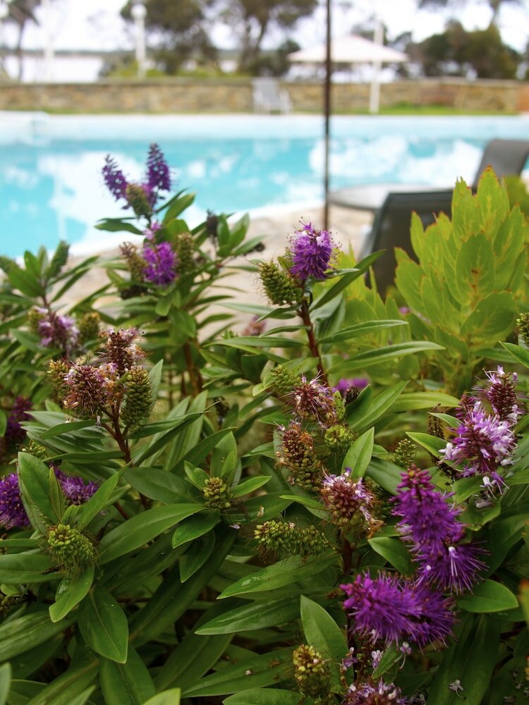 Фото Mercure Kangaroo Island Lodge