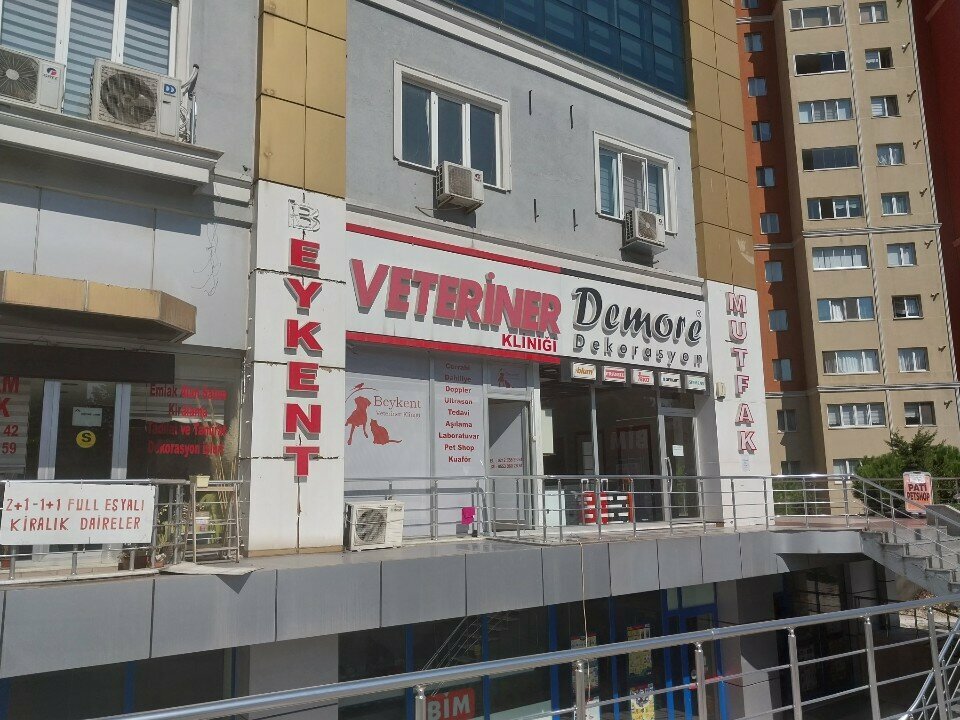 Veterinary clinic Beykent Veteriner Kliniği, Istanbul, photo