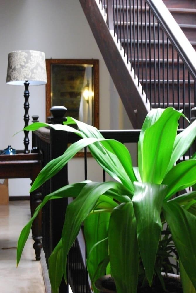 Фото Kisiwa House