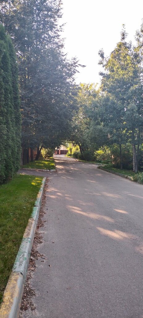 Парк культуры и отдыха Павловский парк, Видное, фото