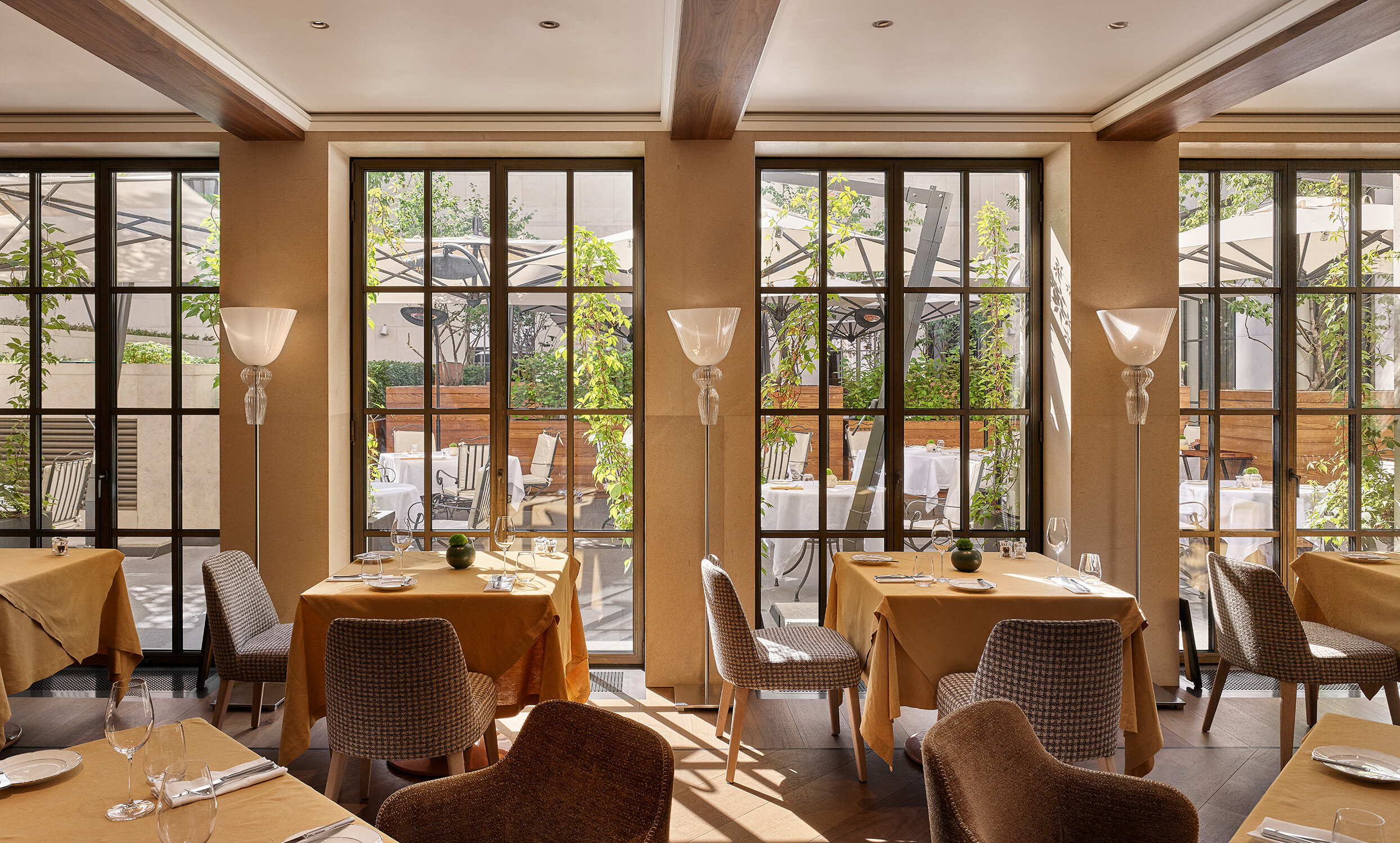 Фото Stella di Mosca