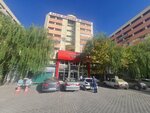 Smmm Zekayi Nayir (Konya, Selçuklu, Nişantaş Mah., Dr.M.Hulusi Baybal Cad., 3M), accountants