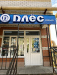 Плёс (Dimitrova Street, 62), household goods and chemicals shop
