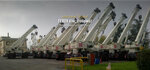 Macrane Global (İstanbul, Kartal, Esentepe Mah., Lavanta Sok., 2), rental of construction and special equipment