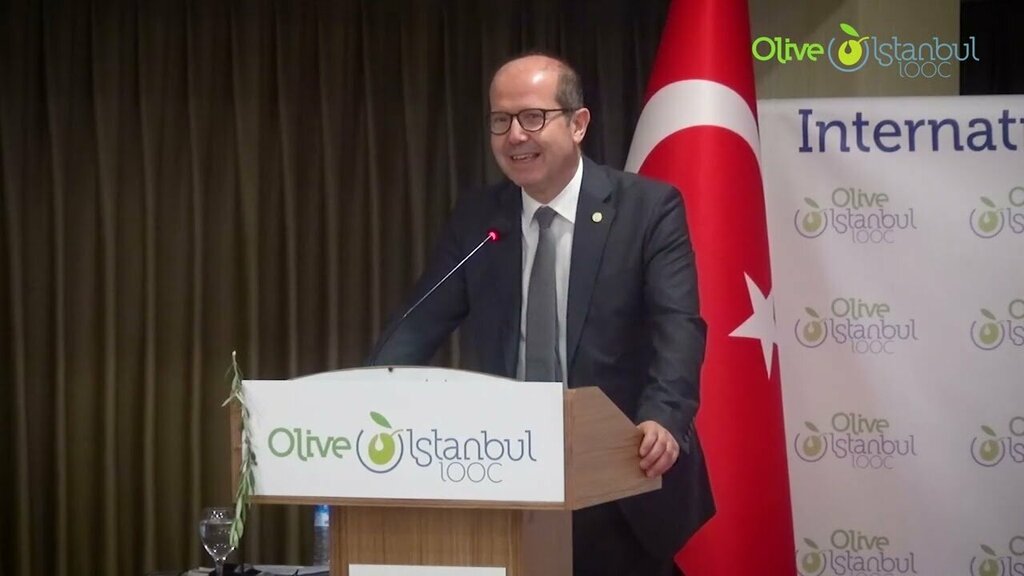 Educational center Olive Istanbul Iooc, Istanbul, photo