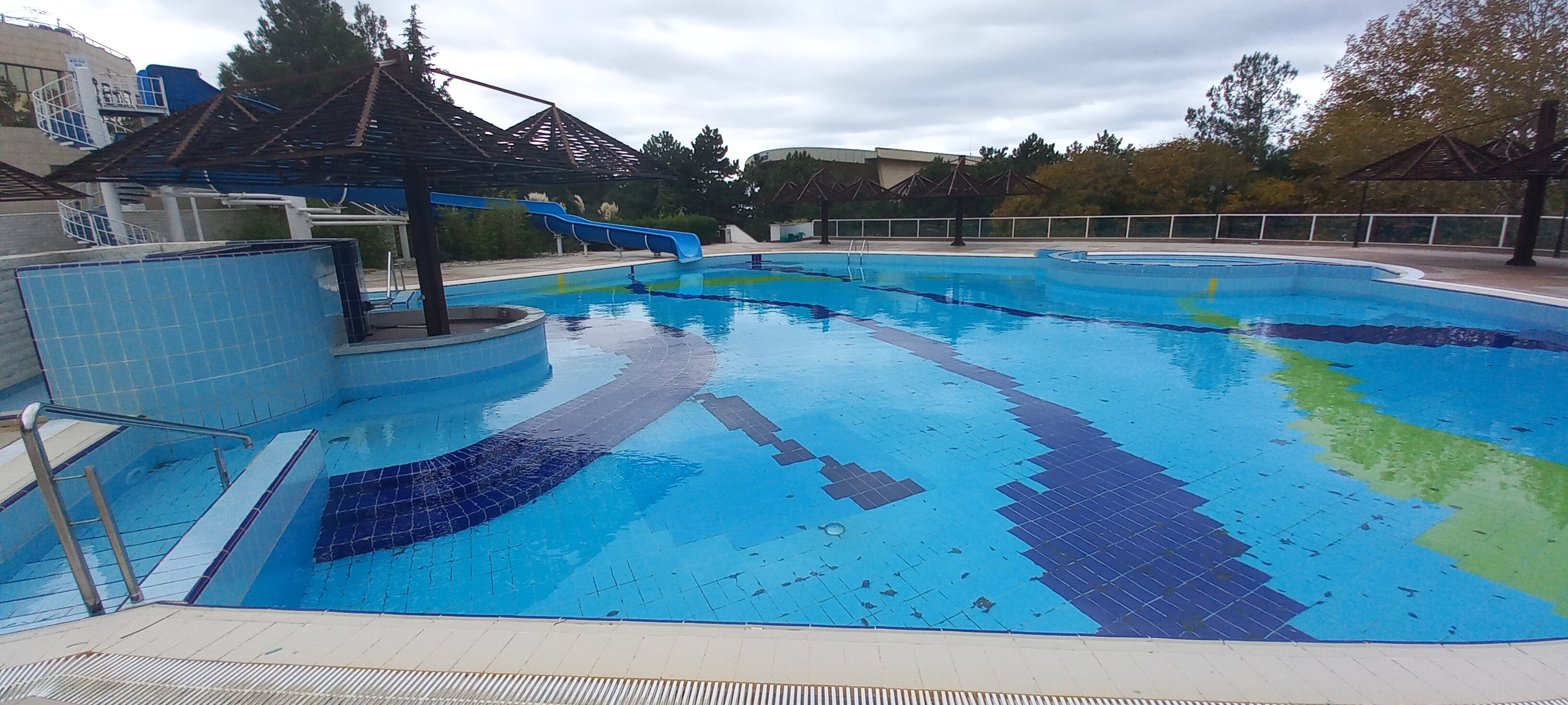 Фото Надежда