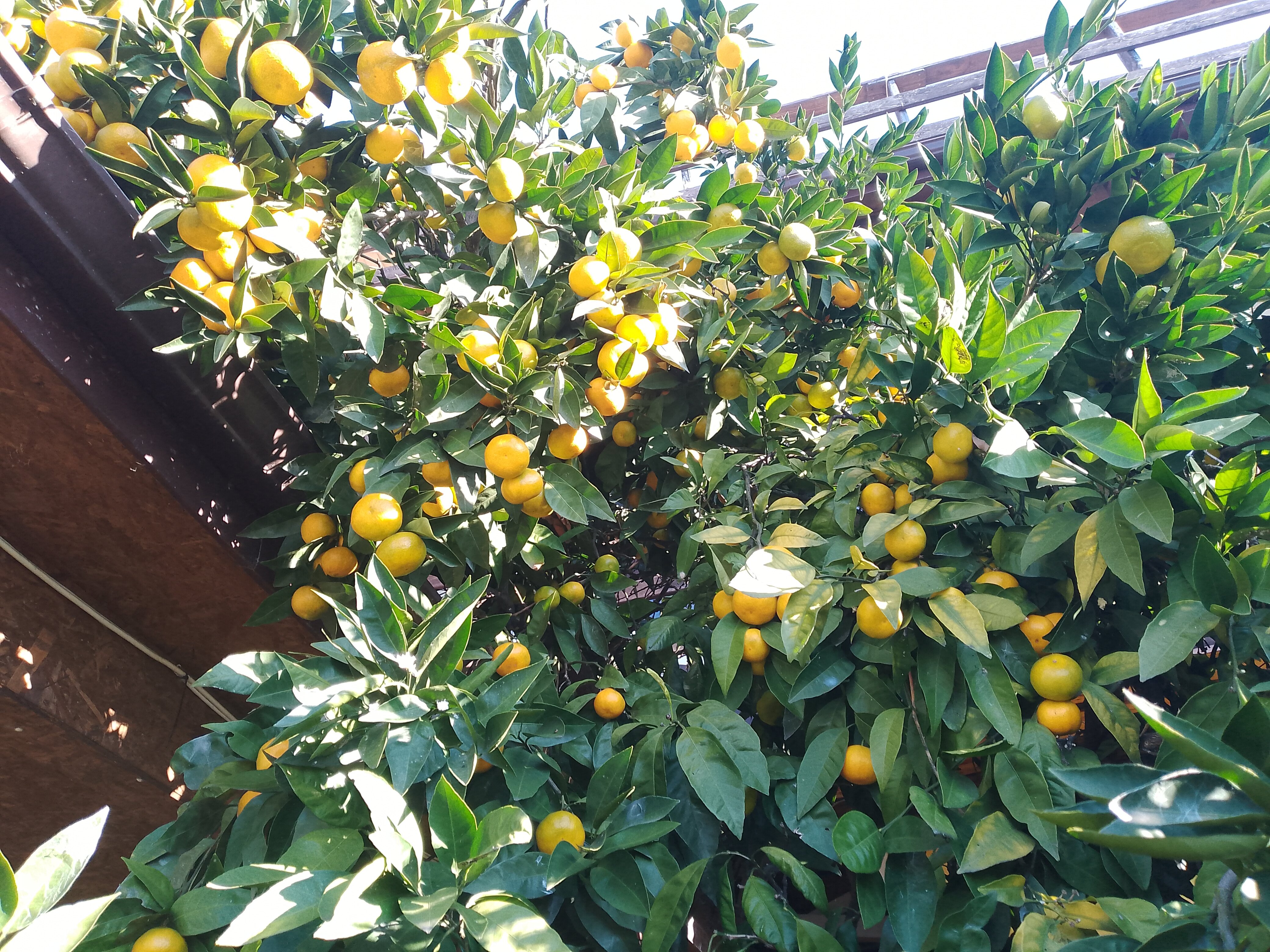 Фото О Море