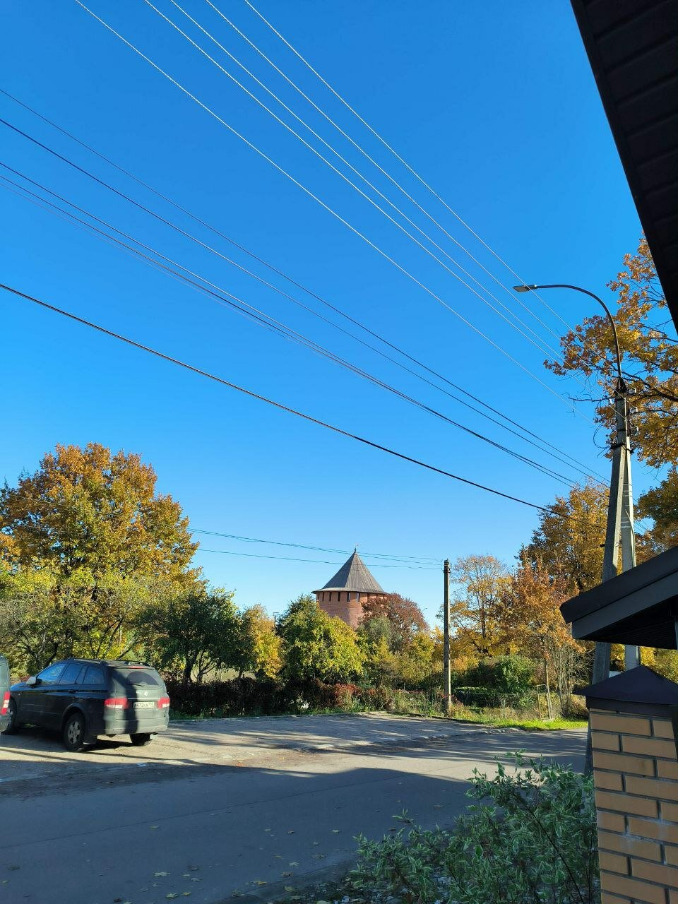 Фото Три кота