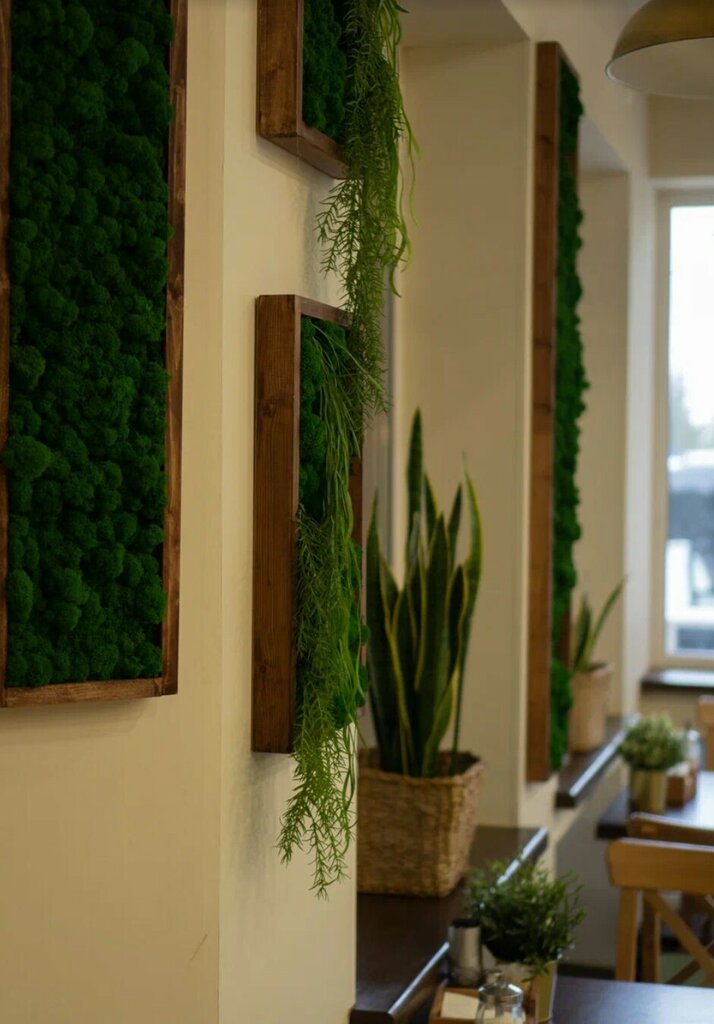 Рыба и морепродукты Jarvikala, Сортавала, фото