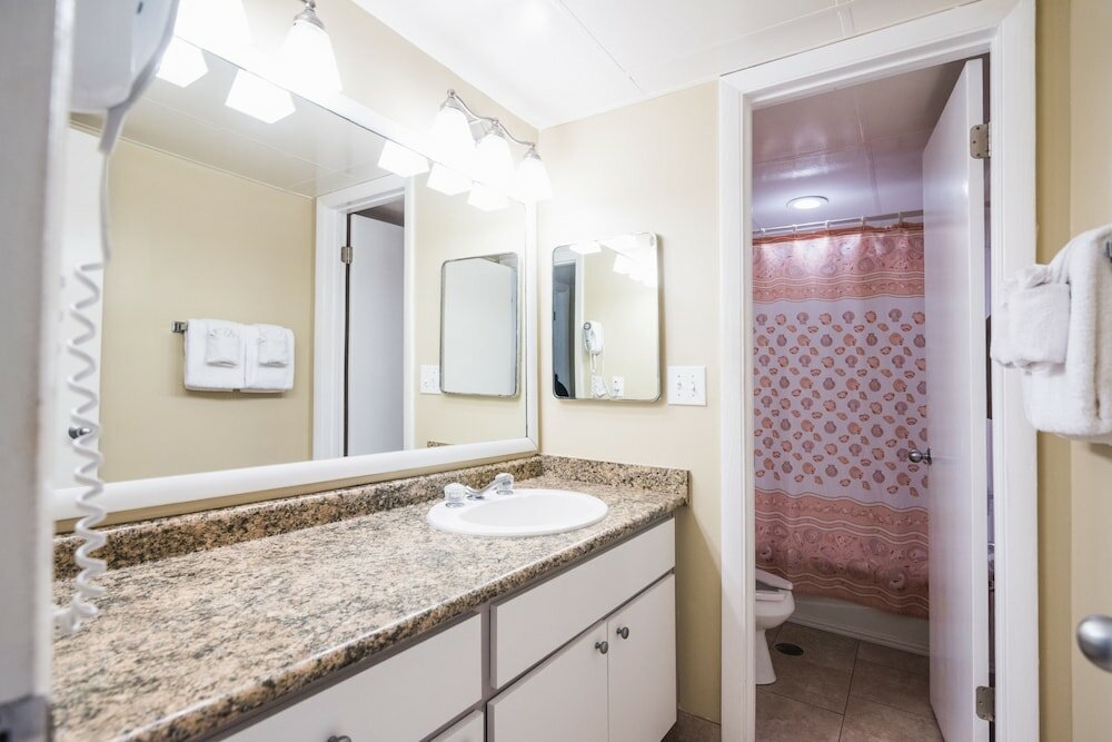 Фото Osprey on the Gulf