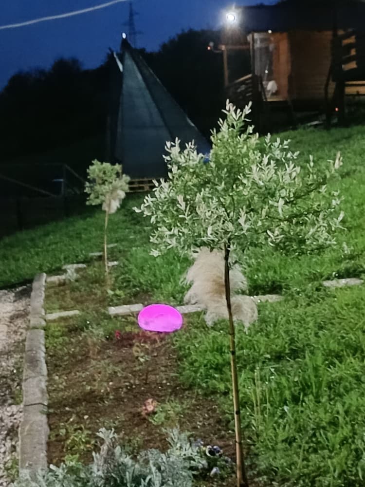 Фото Bosnian Pyramid Glamping