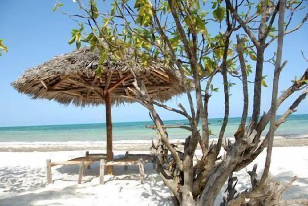 Фото Pakachi Beach Resort & Hotel