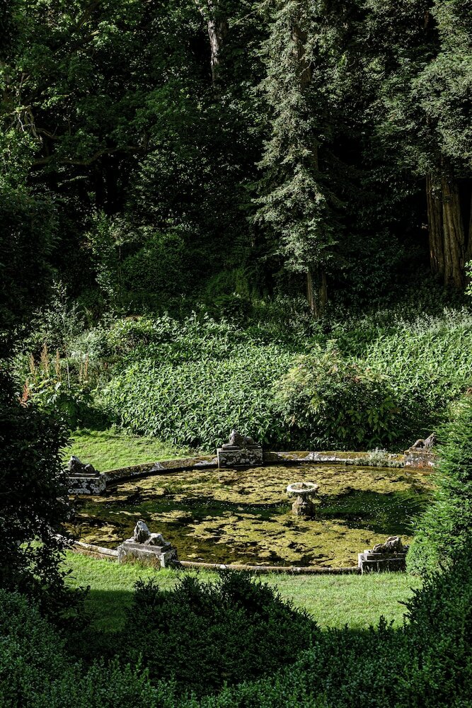 Фото 238019987450