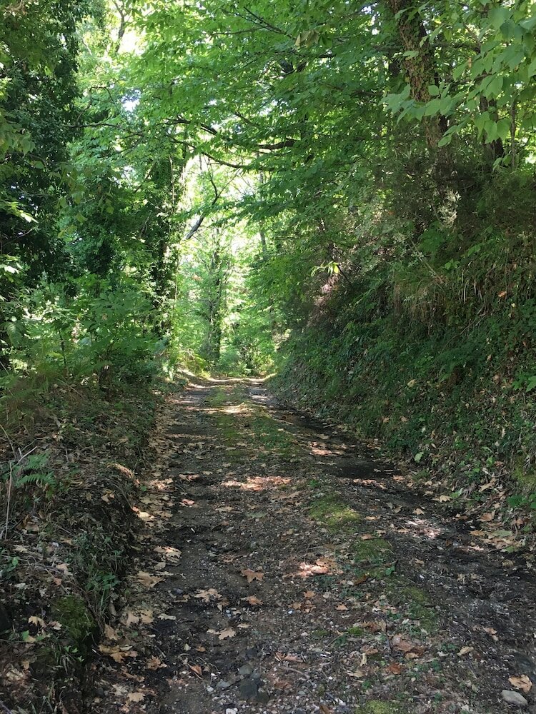 Фото Sunrise Pelion Villas Sea View 2