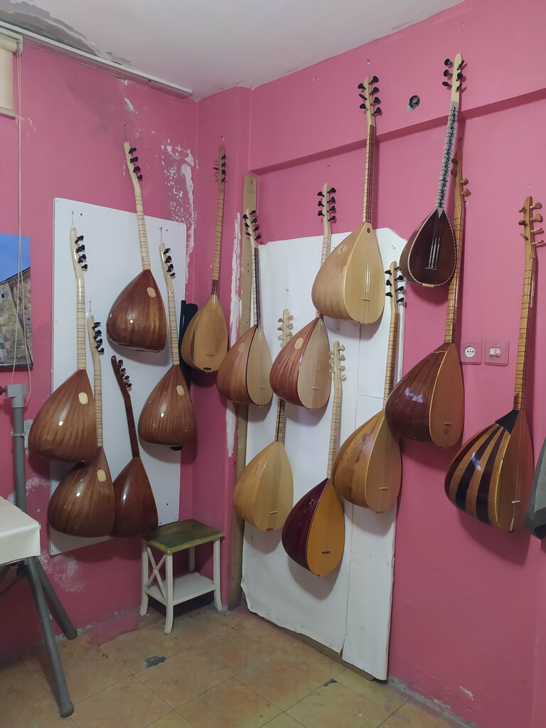 Müzik okulları ve konservatuarlar Sultangazi Bağlama Kursu, İstanbul, foto