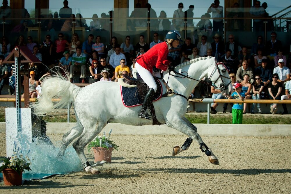 Фото Hotel Rozálka