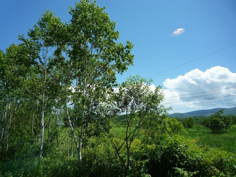 Фото Resort House Niseko First