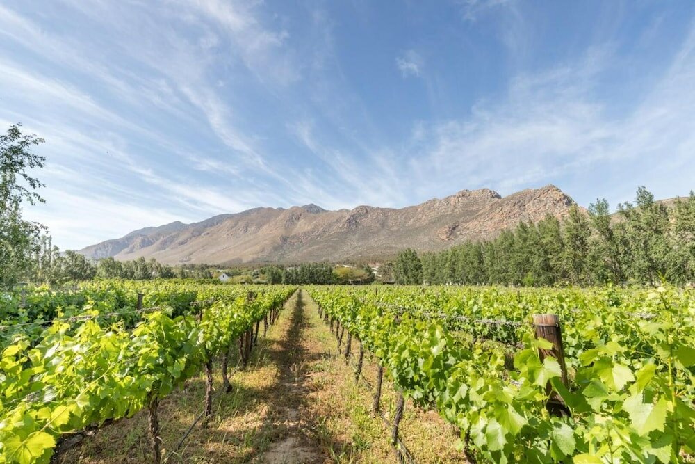 Фото Klein Nektar Manor